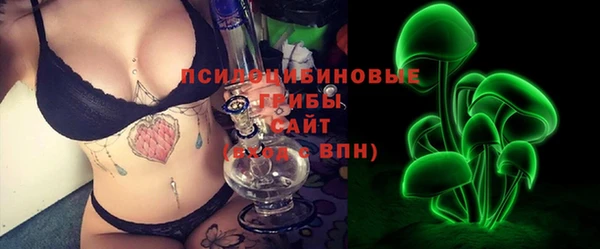 PSILOCYBIN Богородицк