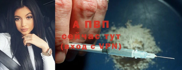 шишки Богданович