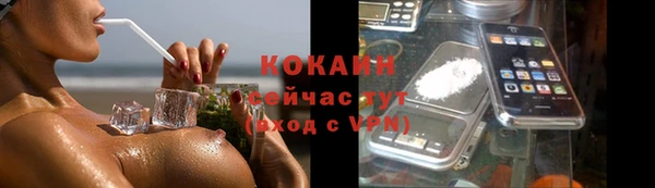 крисы Янаул
