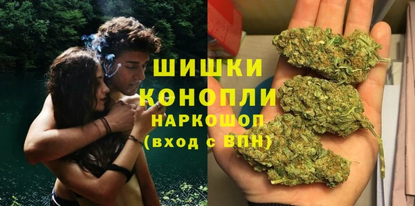 прущие крисы Яровое