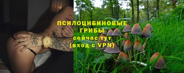 PSILOCYBIN Богородицк