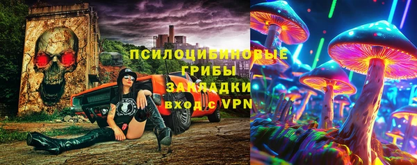 ГАЛЛЮЦИНОГЕННЫЕ ГРИБЫ Богородск
